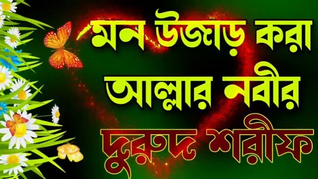 মন উজাড় করা আল্লার নবীর দুরুদ শরীফ #zikir #দুরুদ_শরীফ #durood_sharif_2023 #জিকিরে_সামা смотреть онлайн