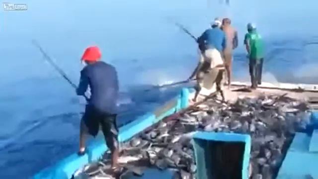 Крутая рыбалка[[[[[[[[[[[[[[[[[[[[[steep fishing смотреть онлайн