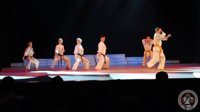 Посвящение в каратисты 2019 смотреть онлайн