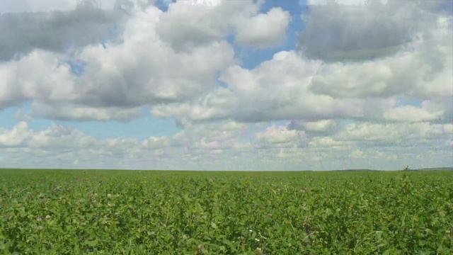 Пижанка-Родина мужа смотреть онлайн