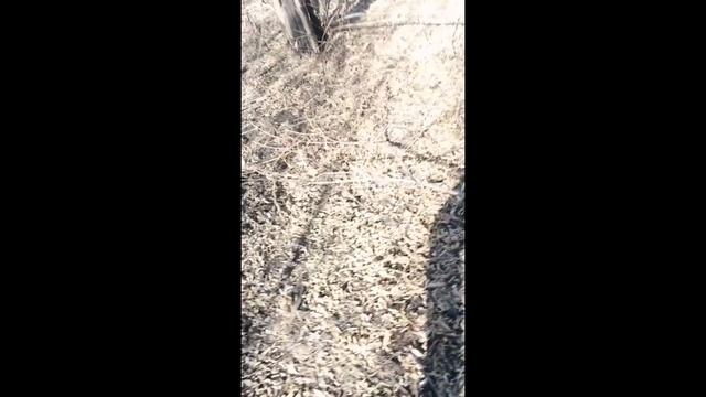 1 vlog сходили за дровами смотреть онлайн