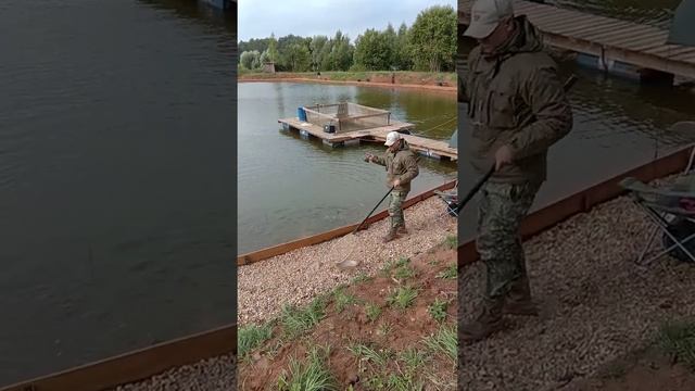 Вываживание форели. Рыбалка в ДУРЫКИНО смотреть онлайн