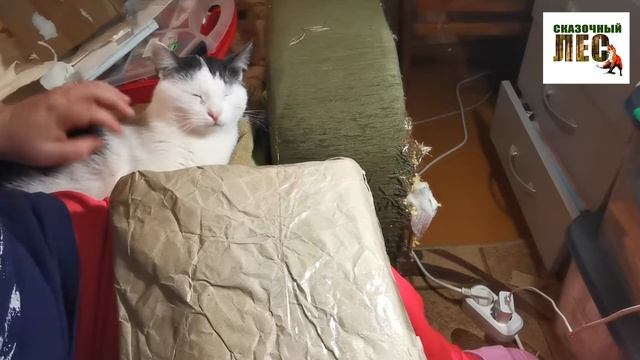 Быстрая РАСПАКОВКА/посылки из СССР/из Мурманска и Саратова/СКАЗОЧНЫЙ ЛЕС смотреть онлайн