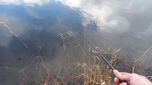 Окунь и Щука на Железо. Ловля хищной рыбы на блесну. Дедовская калебалка. смотреть онлайн