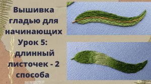 Вышивка гладью для начинающих/5 урок/Вышивка длинных листочков
