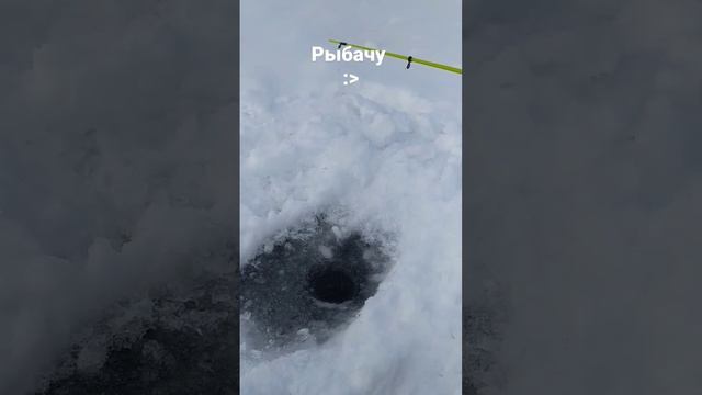 РЫБАЧУ ЗИМОЙ НА #байкал #рыбалка #рыбнаяловля #природа #хобби #рекомендации #реки #shorts #15second смотреть онлайн