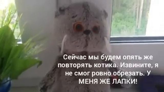 Басик ПОВТОРЯЕТ ФОТО КОТИКОВ?|новая рубрика|Басик Колбасик| почитайте описание 💗 смотреть онлайн