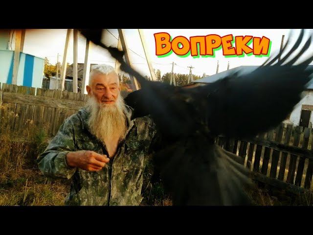 Вопреки. смотреть онлайн