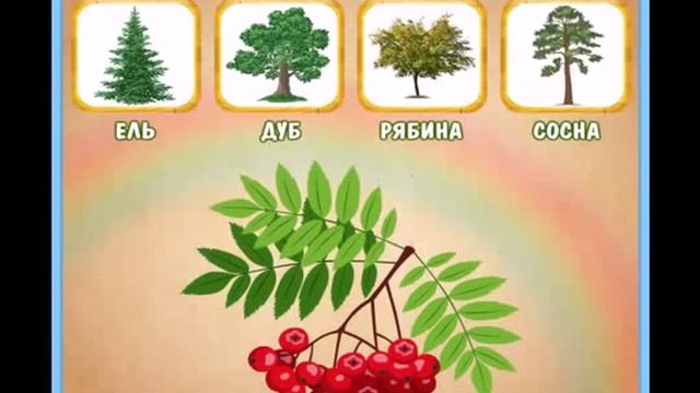 Развивающие мультики для детей учим СЛОВА через КАРТИНКИ деревья смотреть онлайн