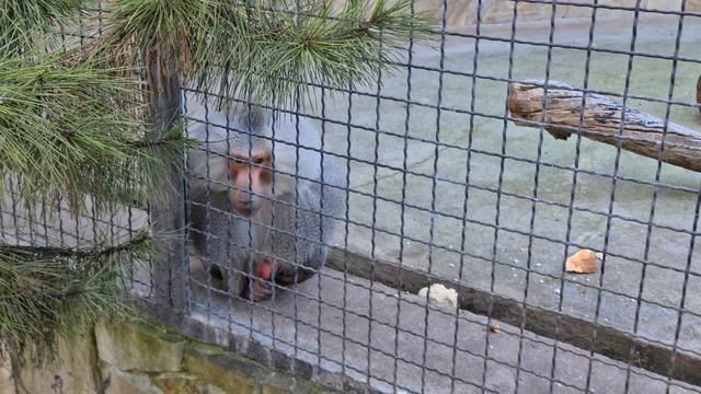 Джонника заугощали) Тайган смотреть онлайн