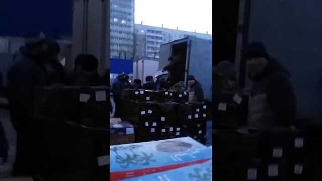 Самый хороший торговли на каширинский рынок бокс д 3 смотреть онлайн