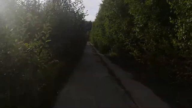 Секретная дорога через полигон между Девяткино и Всеволожском смотреть онлайн