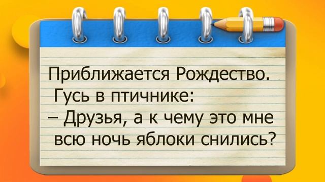 ✔️Что будет, если скрестить кенгуру и слона? Суперские анекдоты от Волка. #ВГостяхУВолка смотреть онлайн