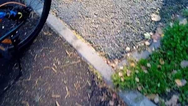 чтоооооооо