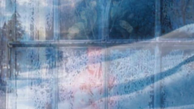 "Украдкой время с тонким мастерством..." (сонет 5 Уильям Шекспир, читает И.М. Смоктуновский) смотреть онлайн