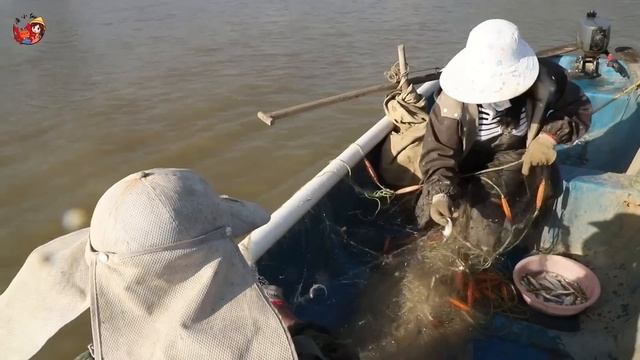 【猛貨合集】漁船出海回來，捕到一條30多公斤的野生石斑魚，小漁抱起來都很費勁！ 【漁小仙】 смотреть онлайн