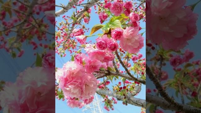 КАК ПОПОЛНИТЬ ЗАПАСЫ ЭНЕРГИИ ✨☀️? смотреть онлайн