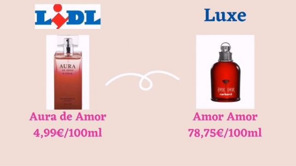 PARFUMS LIDL DUPES DES PARFUMS DE LUXE ?
