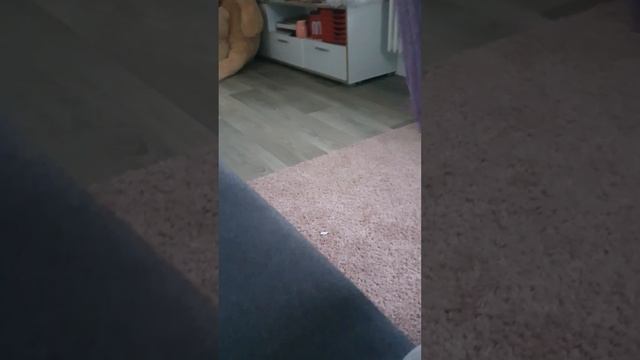 подарки оператора на др смотреть онлайн