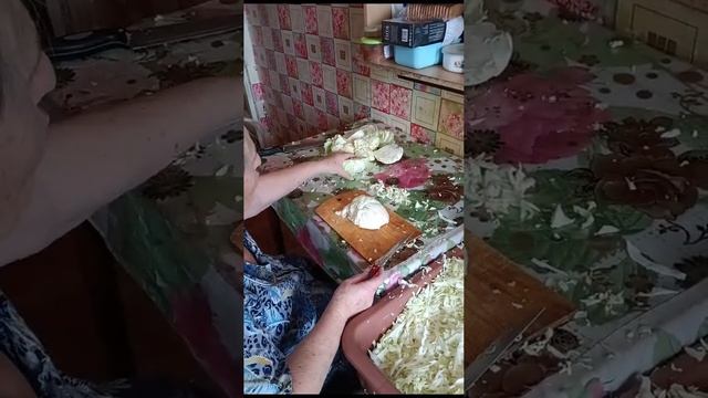 засолка капусты смотреть онлайн