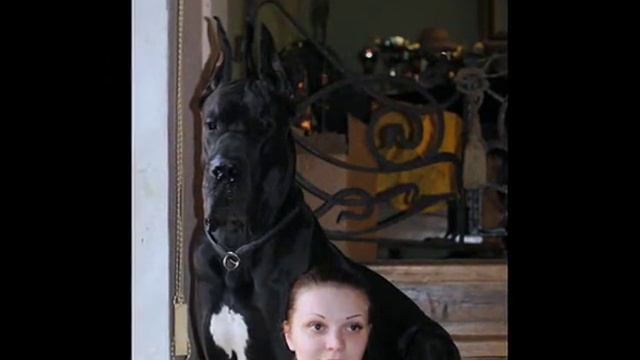 Наше Житье - Бытье :) смотреть онлайн