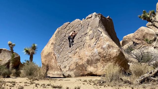 Dragon Scales 5.7 - Joshua Tree смотреть онлайн