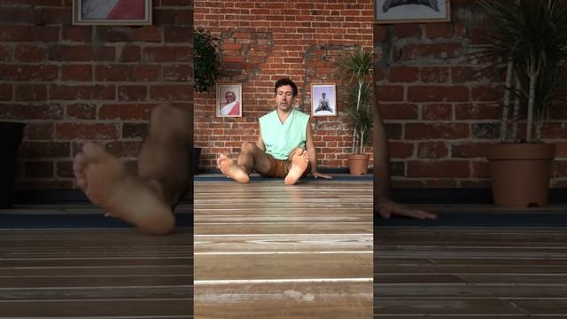 Заземляем дерево Баньян смотреть онлайн