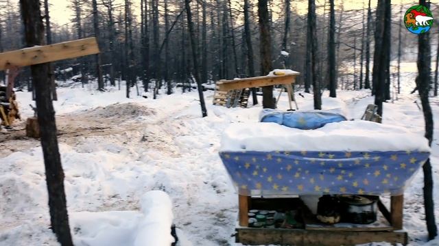 Песец- дебошир. Плато Путорана. Озеро Аян / Arctic Fox, The Little Rascal. Siberia смотреть онлайн