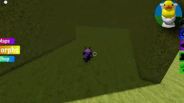 Find The Rubber Duck Morphs - 9 NEW Rubber Duck Morphs! [MAZE Map] Roblox смотреть онлайн
