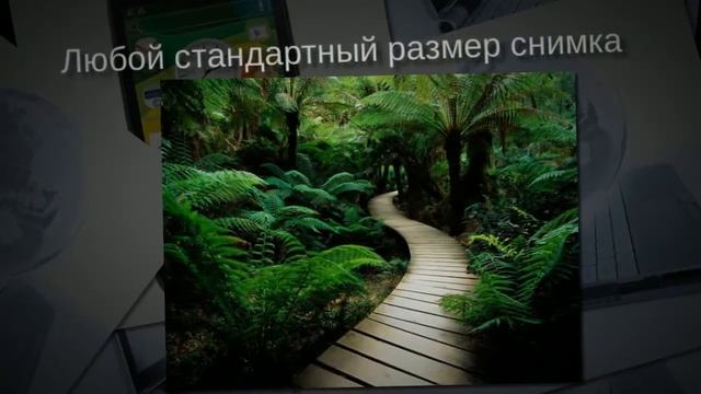 Печать фотографий за 4 рубля смотреть онлайн