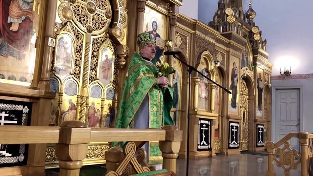 Проповедь протоиерея Михаила Погиблова в праздник Входа Господня в Иерусалим смотреть онлайн