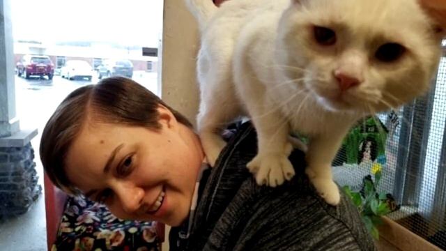 Кот запрыгнул на плечо к человеку, приехавшему в приют, и поехал вместе с ним домой