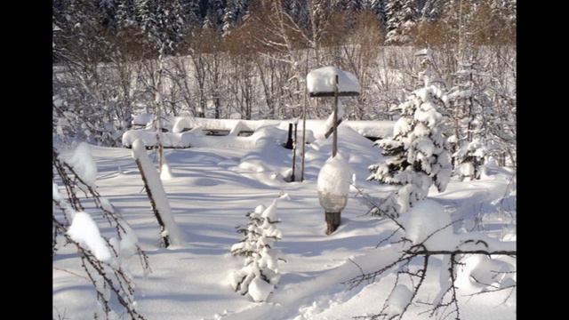 Конец Света как оно есть откровения современного пустынножителя смотреть онлайн