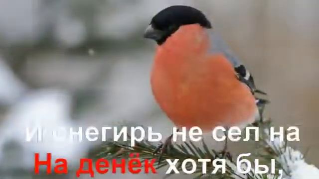 КАРАОКЕ для ДЕТЕЙ Кабы Не Было Зимы смотреть онлайн