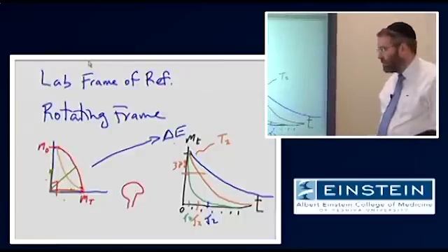 Introducing MRI: Transverse Magnetization Relaxation (10 of 56)