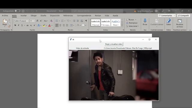 Reproductor de video echo en Python , ICO22 смотреть онлайн