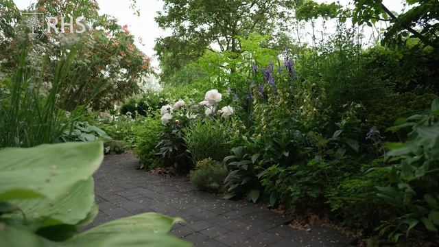 How to create a shade garden | Take Home Chelsea | The RHS смотреть онлайн
