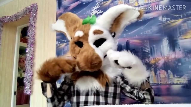 Fursuit Review(monocit)/ фурсьют обзор (монокит)