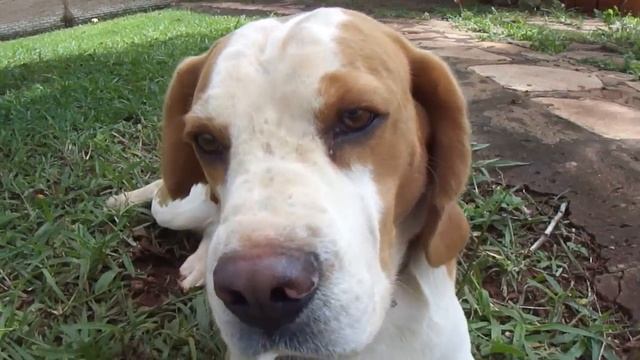 Sony Cybershot DSC-T110 - HD Video Test - смотреть онлайн