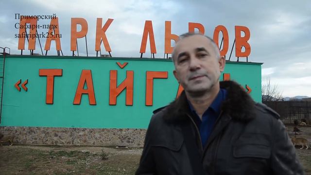 ДИРЕКТОР ПРИМОРСКОГО САФАРИ-ПАРКА В ПАРКЕ ЛЬВОВ ТАЙГАН смотреть онлайн