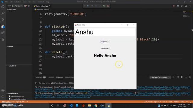 Remove Labels and Find State Label in TKinter - Python Tutorial (2020) #18 смотреть онлайн