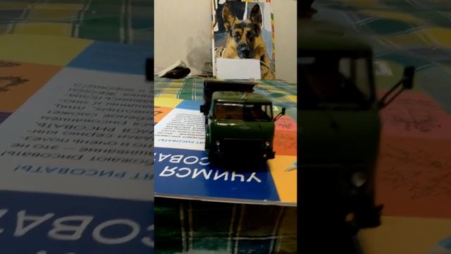 обзор МаЗ 504 ssm и п/п МаЗ 5232В АиСт 1:43 смотреть онлайн