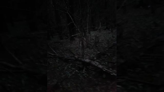 Куда улетают воздушные шары!?