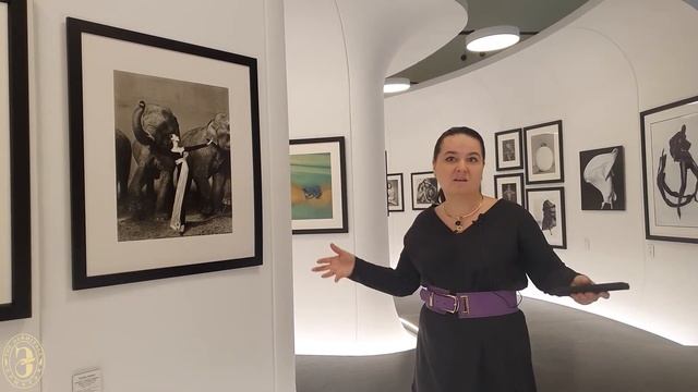 Красота и стиль. История модной фотографии. Знакомство с выставкой смотреть онлайн