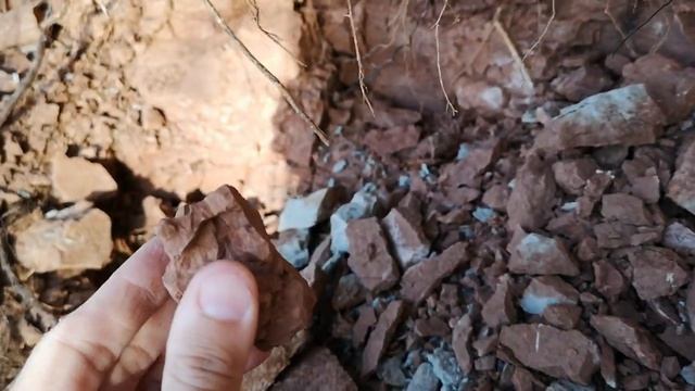 Опробование глины и породы серой прослойки от 14 июня 2021 смотреть онлайн