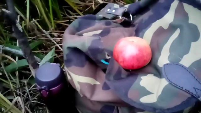 охота на утку тоз 34в.(видео для брата4) смотреть онлайн