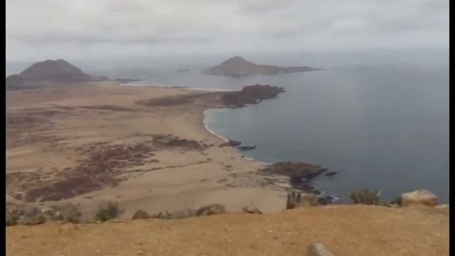 Parque Pan de Azúcar Chile смотреть онлайн
