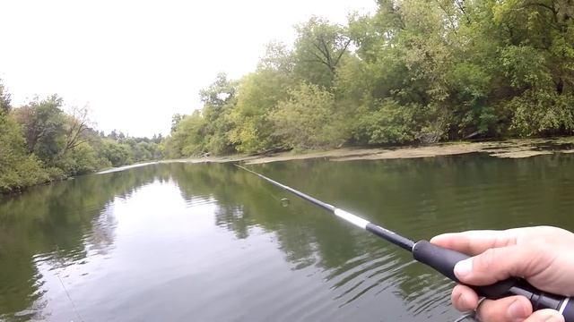 ВОБЛЕР УБИЙЦА ЩУКИ - JACKALL MAGSQUAD 160 !!! ЛОВЛЯ КРУПНОЙ ЩУКИ НА большие приманки! ПСЕЛ 2022 смотреть онлайн