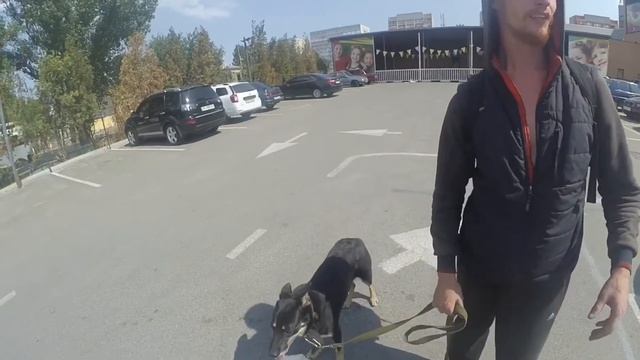 Цыганка гадает (Украина,Днепр) смотреть онлайн