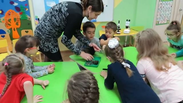 Фрагмент занятия объединения «Экология и город» смотреть онлайн